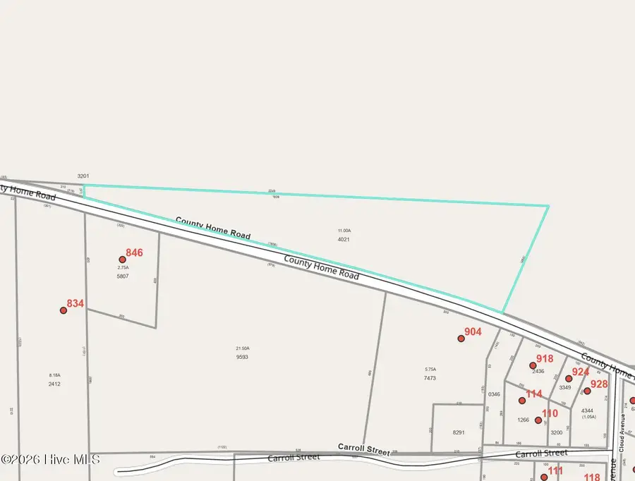 Tbd County Home Road, Hamlet, NC 28345 - #2