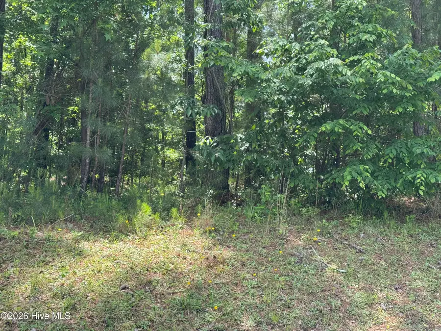 13 Shooting Match Lane, North Augusta, SC 29860 - #3