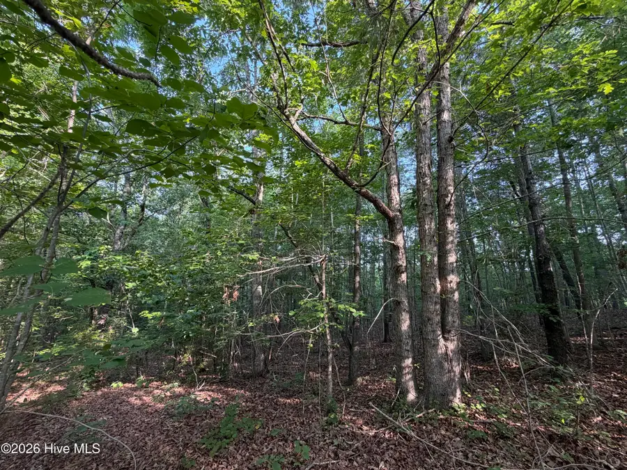150 Watsons Way, Rockingham, NC 28379 - #3