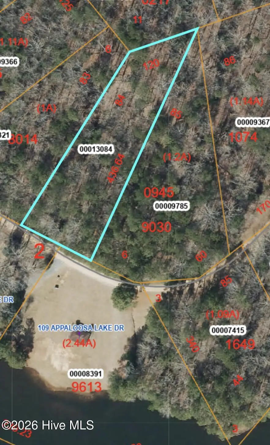 Lot 84 Appaloosa Lake Drive, Carthage, NC 28327 - #1