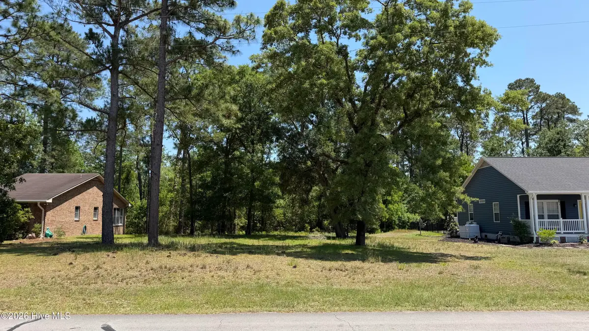 808 Black Swan Road, New Bern, NC 28560 - #1
