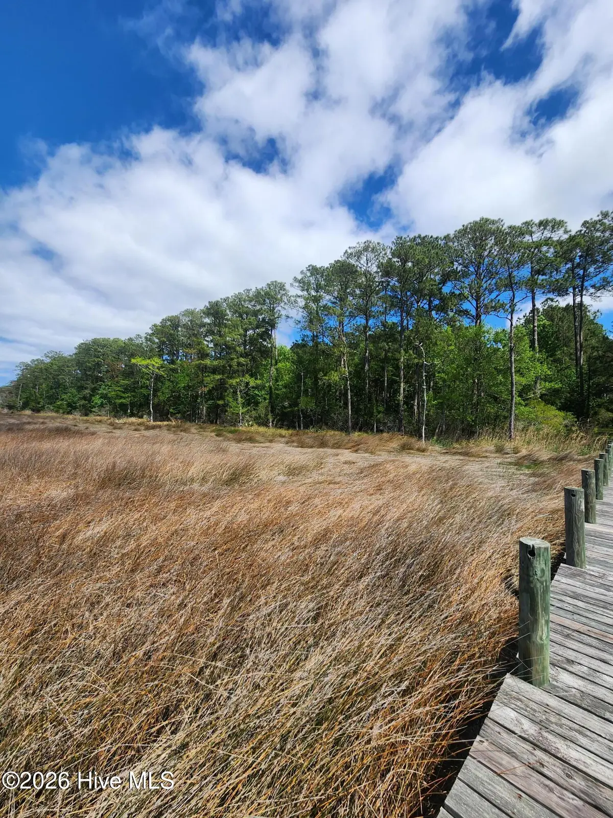 129 Garbacon Drive, Beaufort, NC 28516 - #1