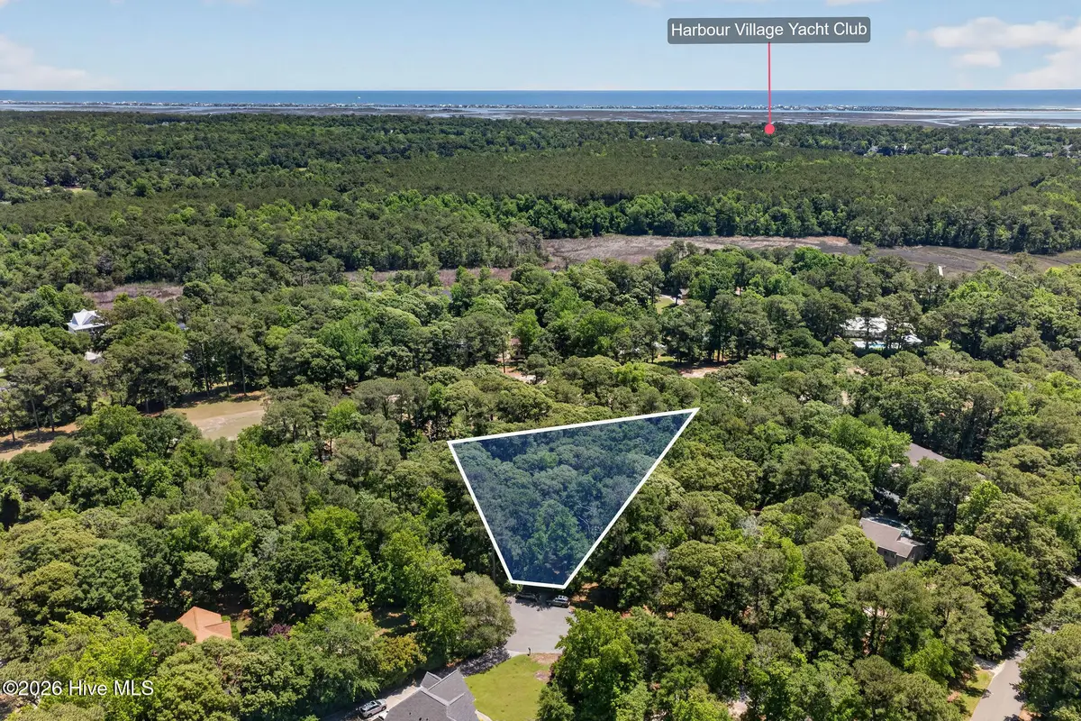 000 Wedge Road, Hampstead, NC 28443 - #1