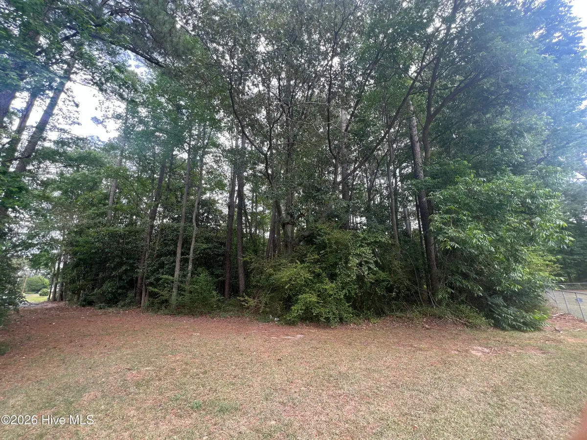 0 Mclamb Street, Roseboro, NC 28382 - #1