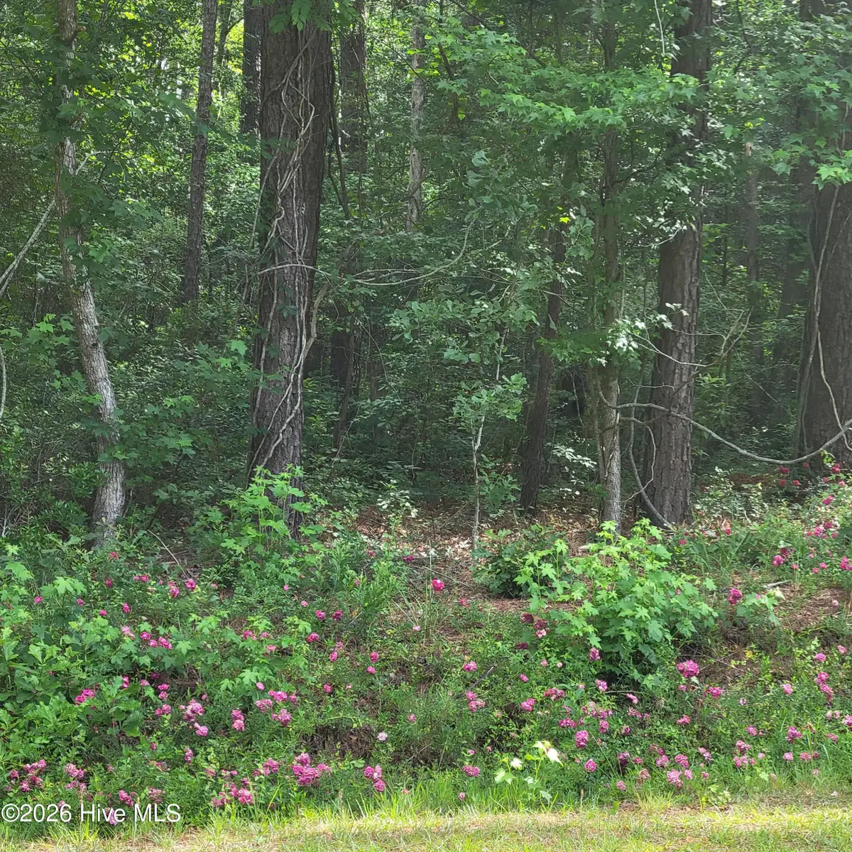 Lot 5-A Porter Road, Currie, NC 28435 - #1
