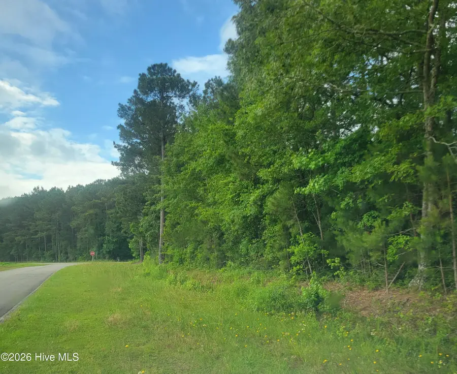 Lot 5-A Porter Road, Currie, NC 28435 - #2