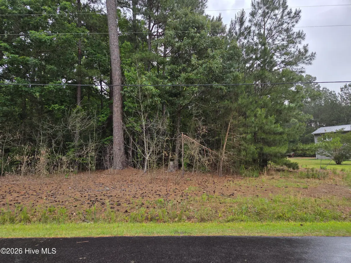 22 Dogwood Drive, Hertford, NC 27944 - #1