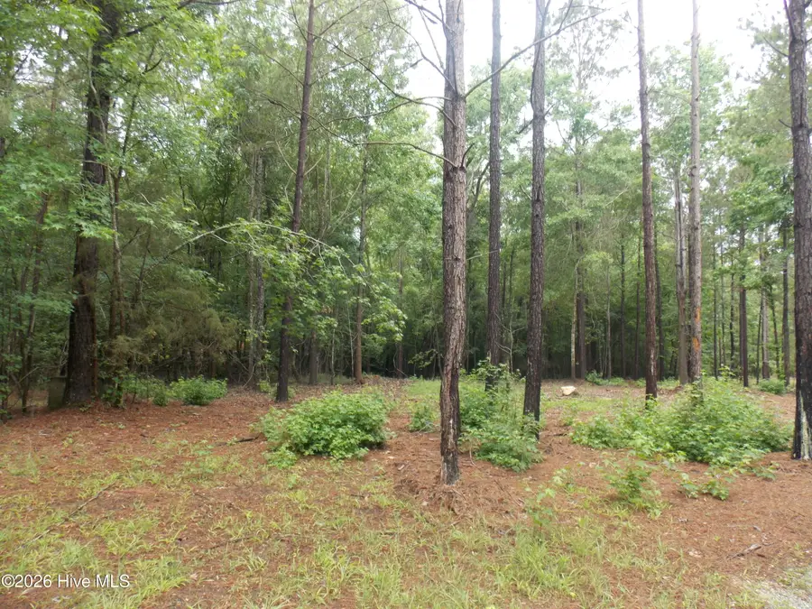 1127 Po Folks Lane, Lincolnton, GA 30817 - #2