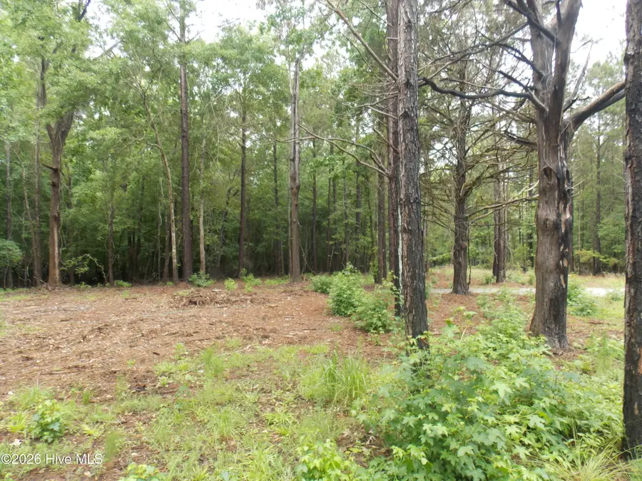 1127 Po Folks Lane, Lincolnton, GA 30817 - #3