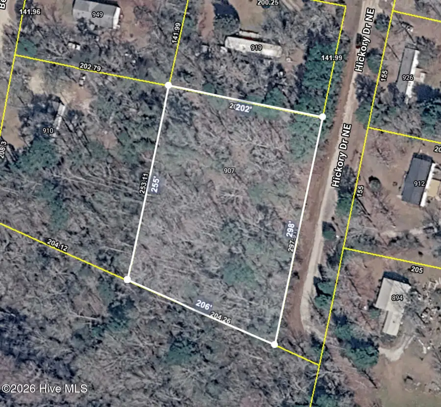 907 Hickory Drive Ne, Leland, NC 28451 - #3