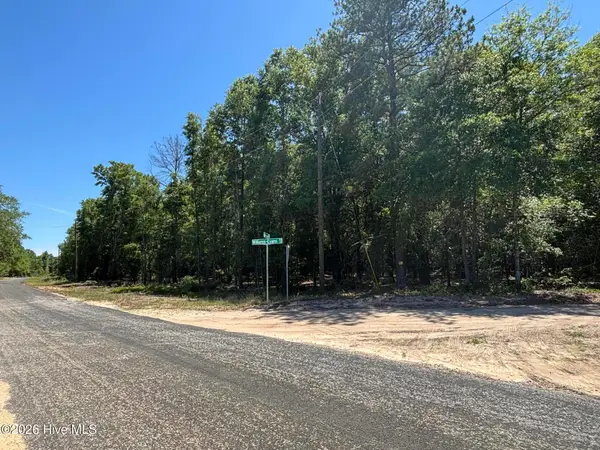0 Warbonnet Road, Springfield, SC 29146