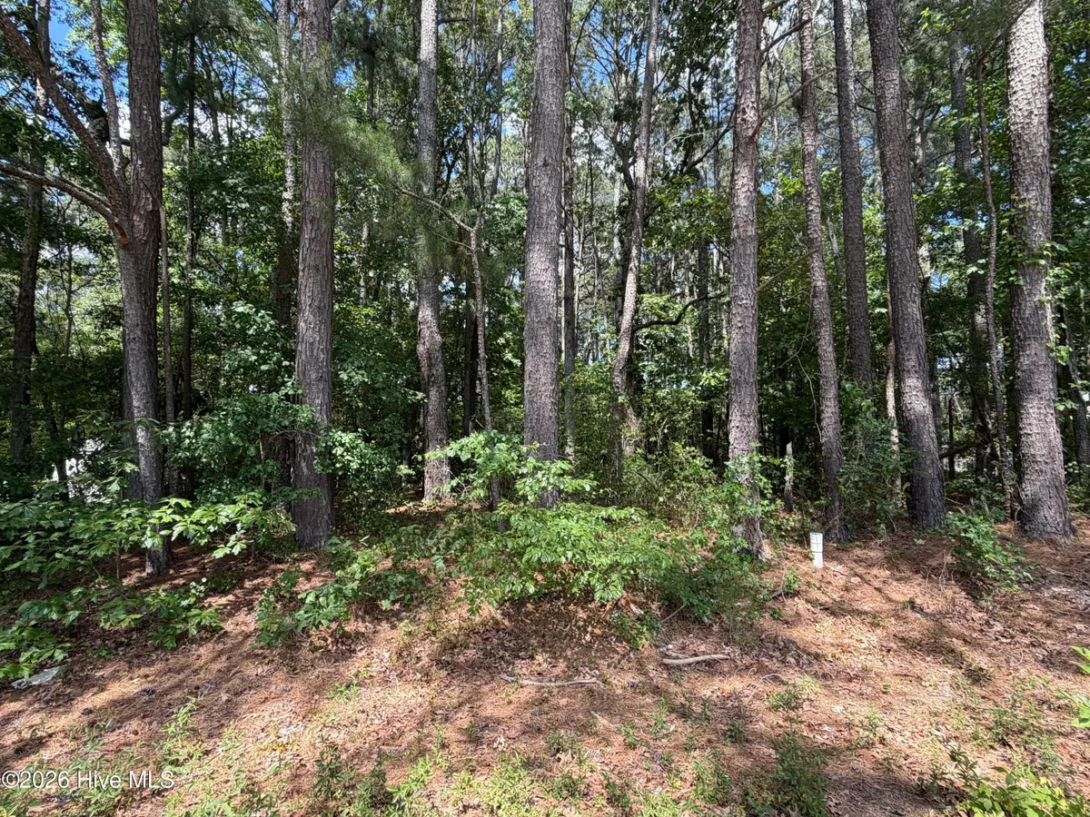 306 Daniel Drive, Goldsboro, NC 27534 - #1