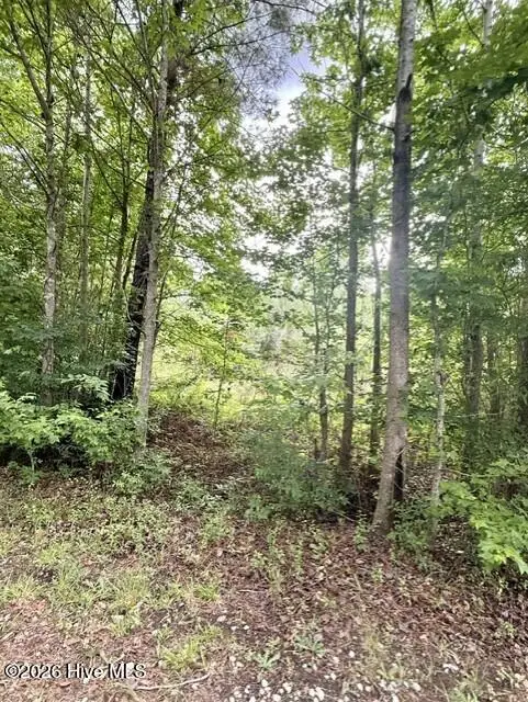 1537 Joy Road, Harlem, GA 30814 - #2