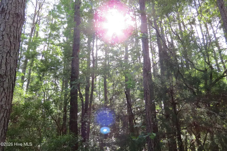 0 Teal Road, Merritt, NC 28556 - #2