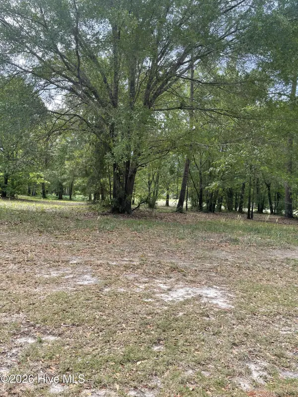 210 Cedar Point Drive, Wallace, NC 28466