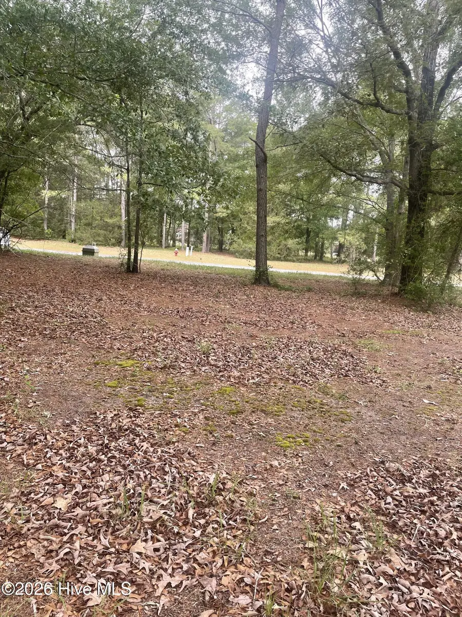 210 Cedar Point Drive, Wallace, NC 28466 - #2