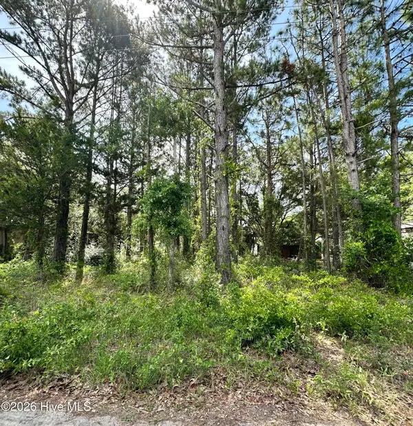 2983 Canna Place Sw, Shallotte, NC 28470
