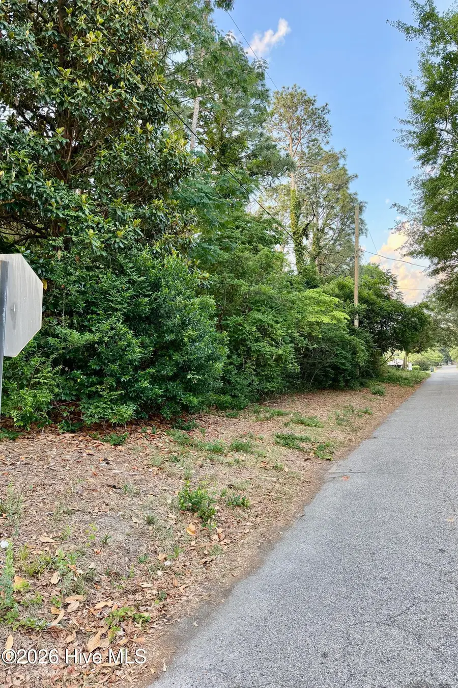 8 Oak Avenue, Hamlet, NC 28345 - #3