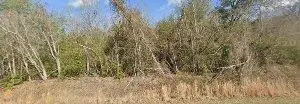 1173 Hancock Mill Lane, Hephzibah, GA 30815 - #1