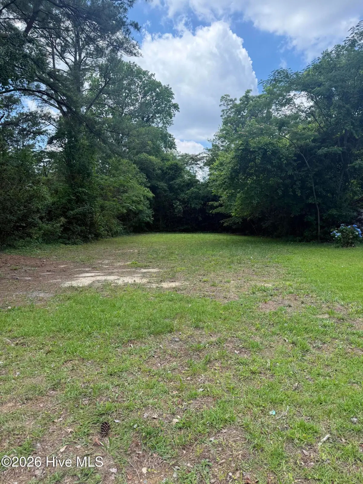 1702 Charlotte Avenue, Kinston, NC 28501 - #1