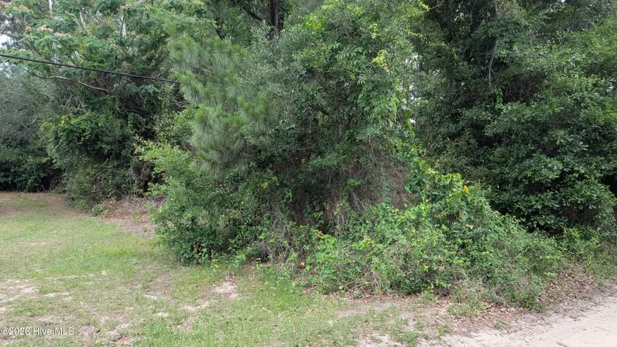 124 Old Farm Road, Hampstead, NC 28443 - #3