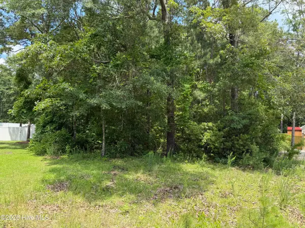 118 Ferret Run Lane, New Bern, NC 28562