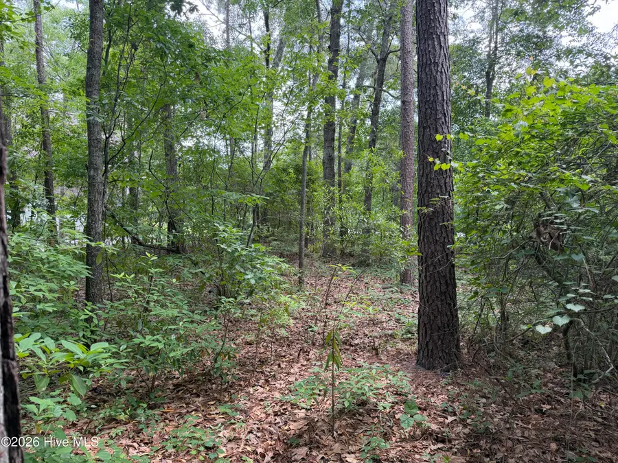 118 Ferret Run Lane, New Bern, NC 28562 - #3