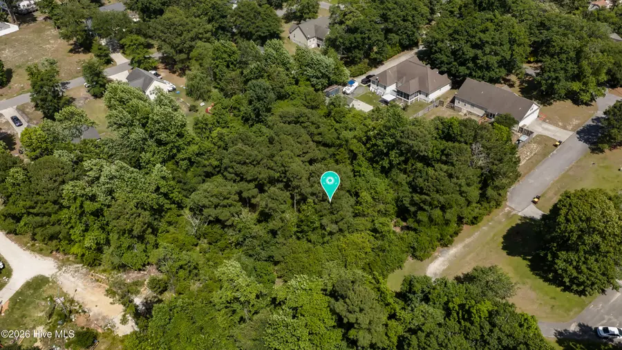 L18 Hidden Fawn Lane, Hampstead, NC 28443 - #3