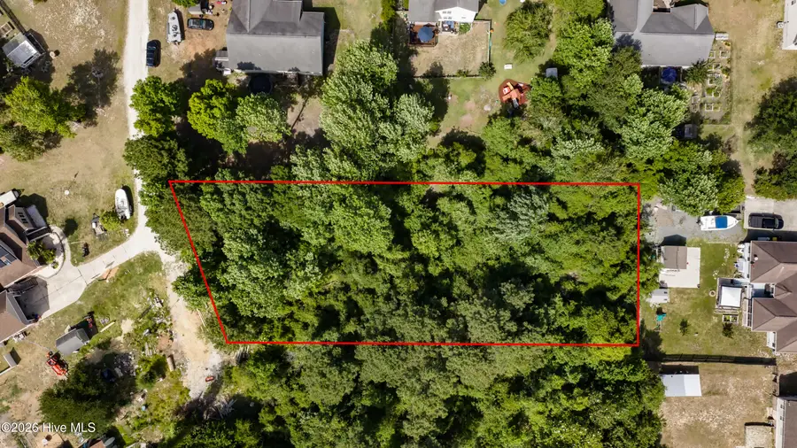 L19 Hidden Fawn Lane, Hampstead, NC 28443 - #2
