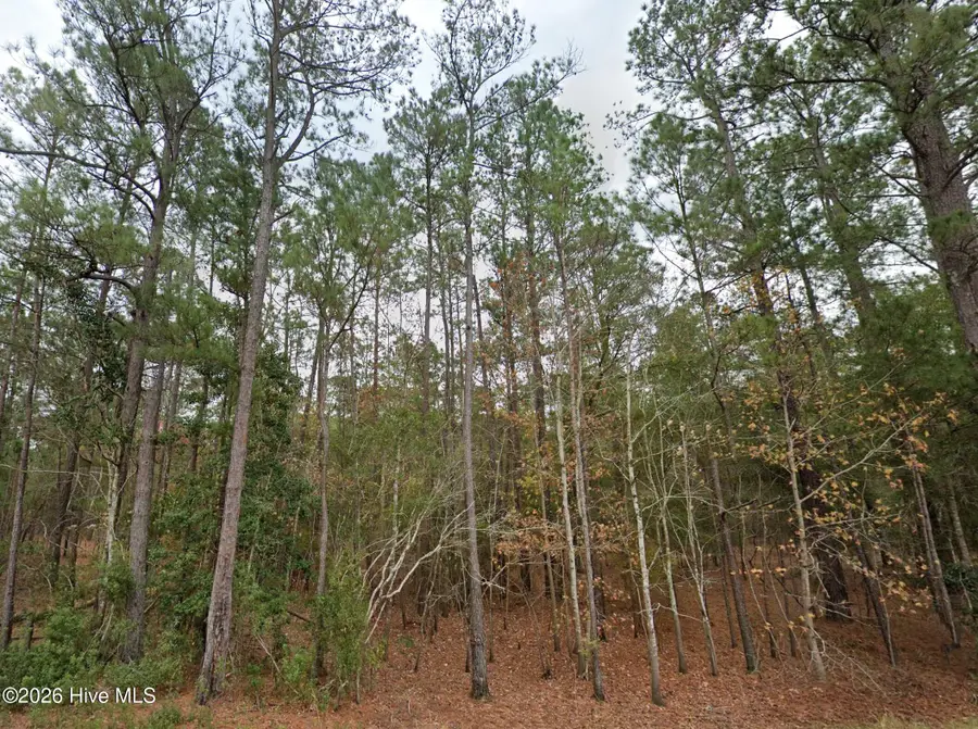 0 Shiloh Road, Willard, NC 28478 - #3