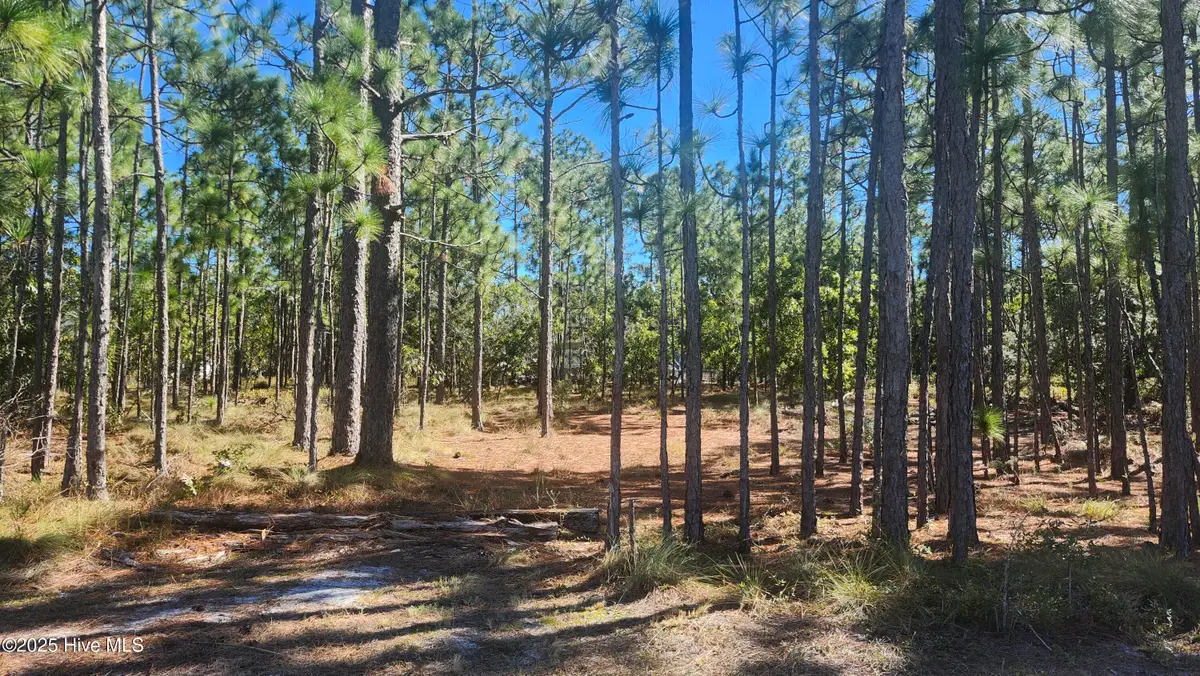 Lot 303 Mission Road, Southport, NC 28461 - #1