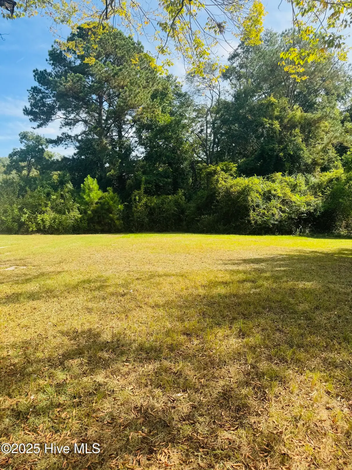 1515 Charlotte Avenue, Kinston, NC 28501 - #1