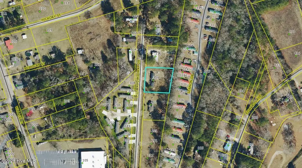 309 Midway Drive, Bladenboro, NC 28320 - #1