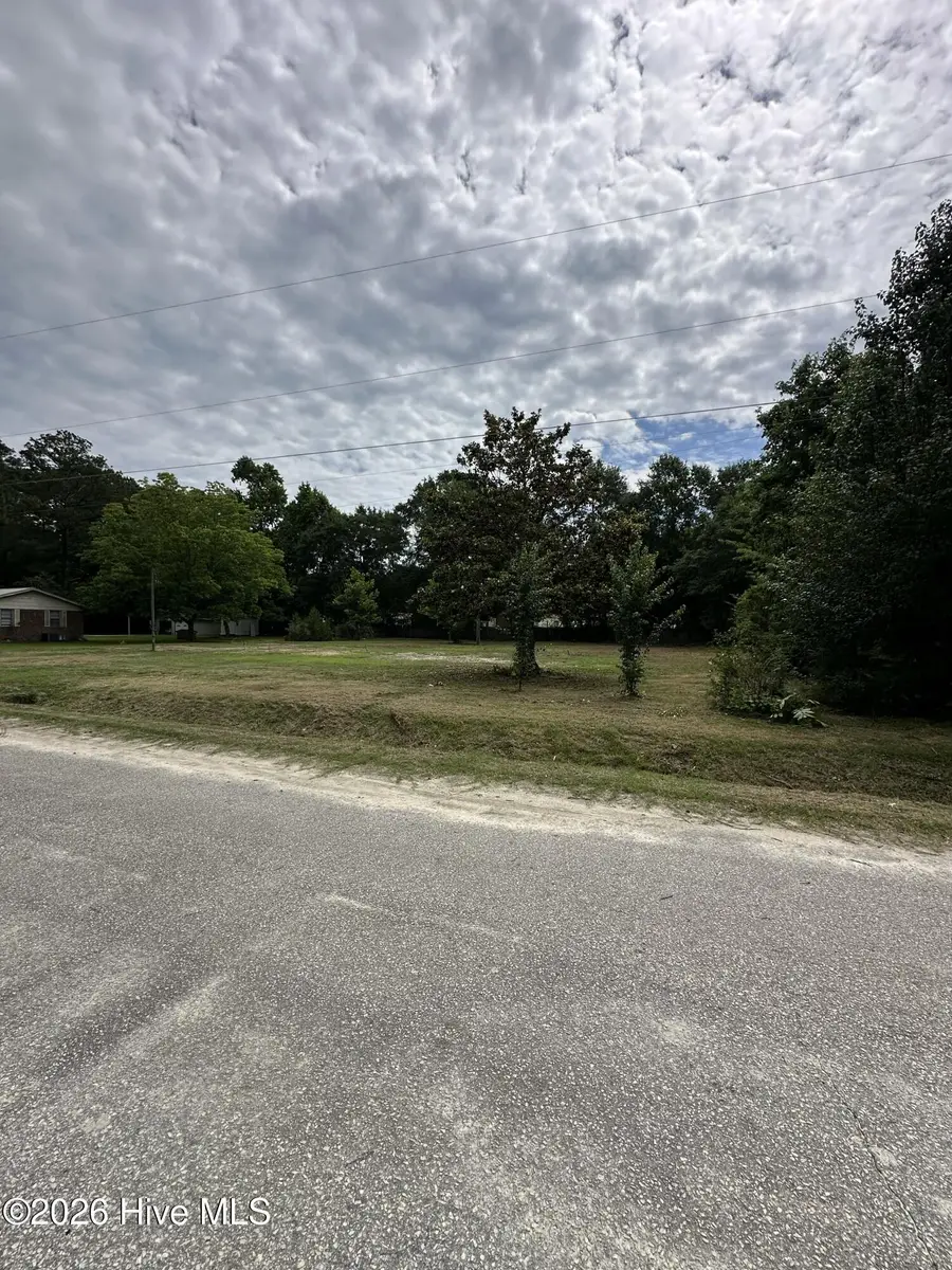 309 Midway Drive, Bladenboro, NC 28320 - #3