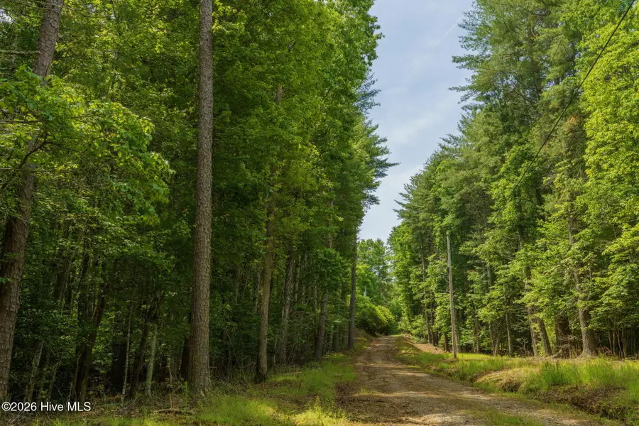 Lot 9 Holly Ridge Lane, Murphy, NC 28906 - #2