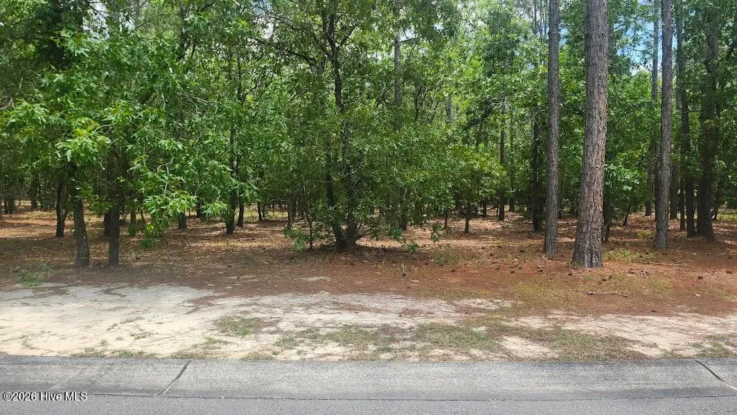497 Estevao Lane Se, Bolivia, NC 28422 - #1