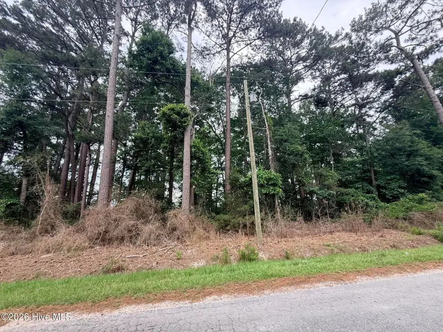 0 Idlewild Drive, Greenville, NC 27834 - #2