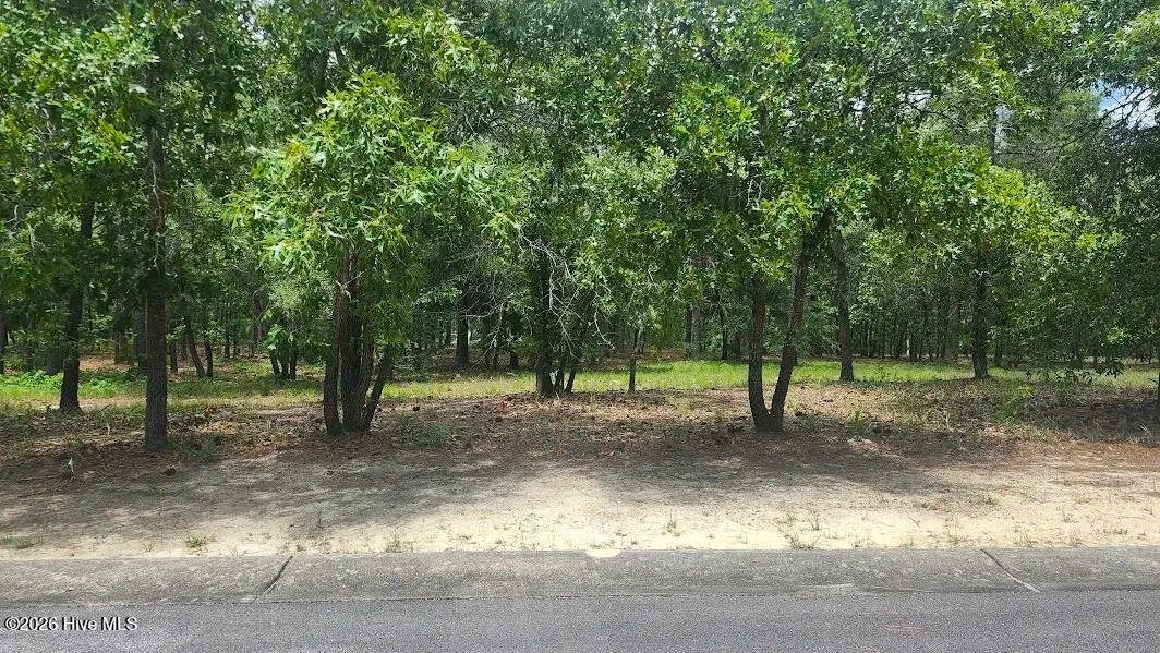 558 Del Sol Circle Se, Bolivia, NC 28422 - #1