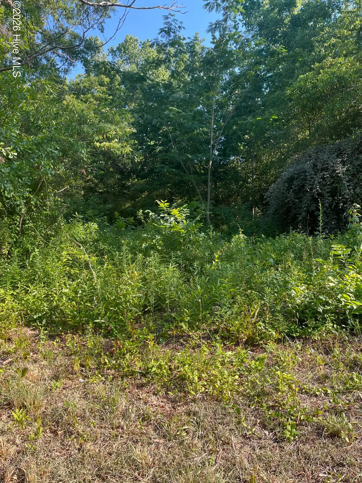166 Douglas Street, Laurinburg, NC 28352 - #1