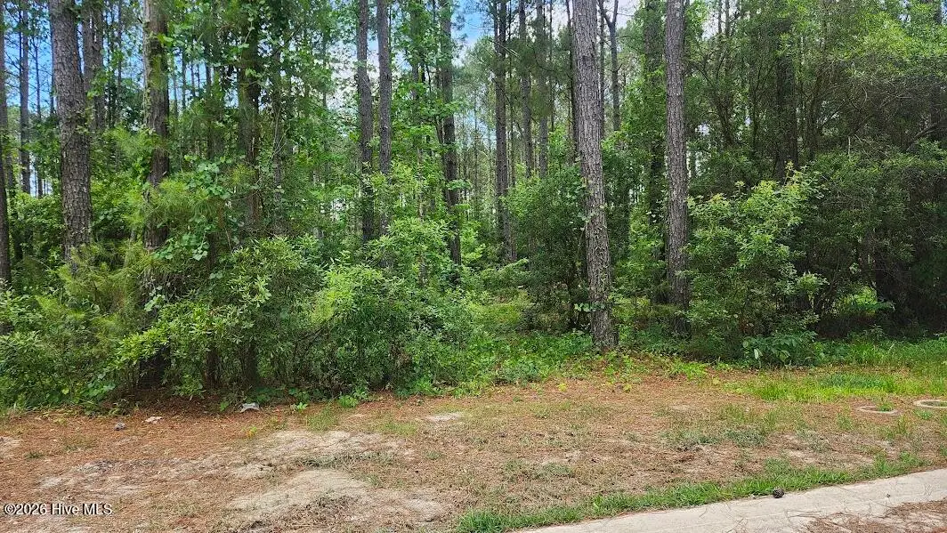 485 Swatara Street Se, Bolivia, NC 28422 - #1