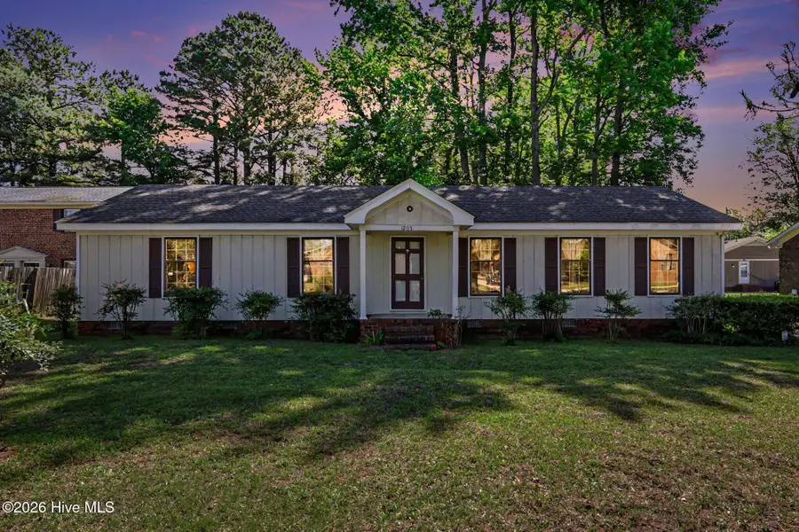 1205 Niblick Drive, Rocky Mount, NC 27804 - #2