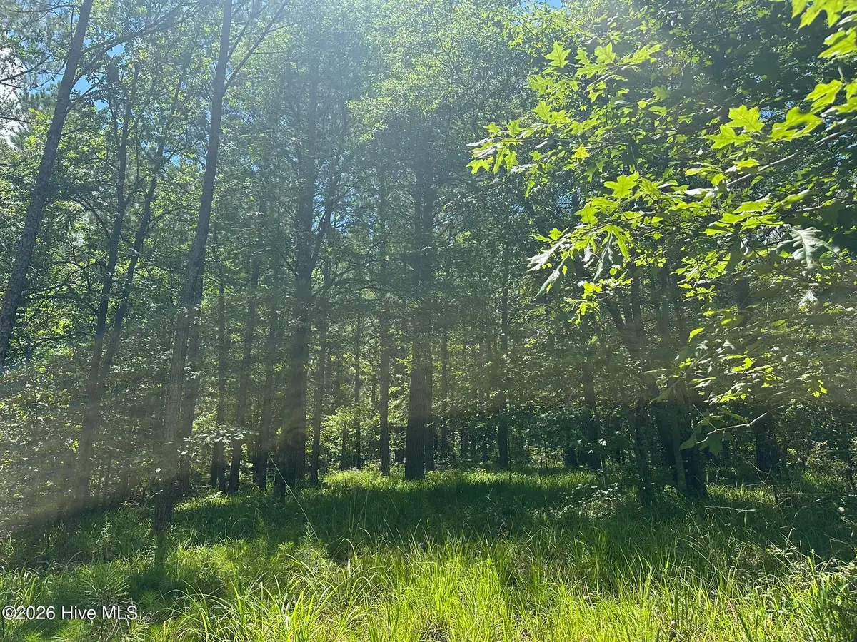 Lot 29 Honeysuckle Trail, Lincolnton, GA 30817 - #1
