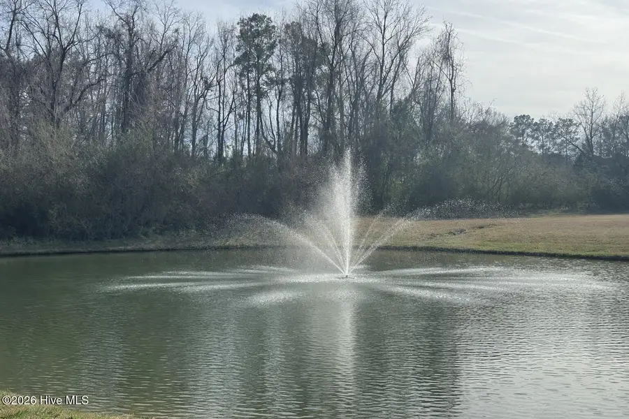 63 Waterfall Lane, Whiteville, NC 28472 - #2