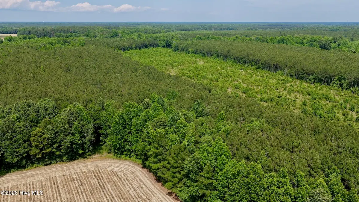 0 Off 1040d Republican Road, Windsor, NC 27983 - #1