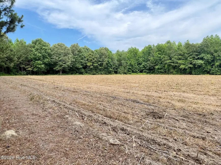 0 Off 1040d Republican Road, Windsor, NC 27983 - #3