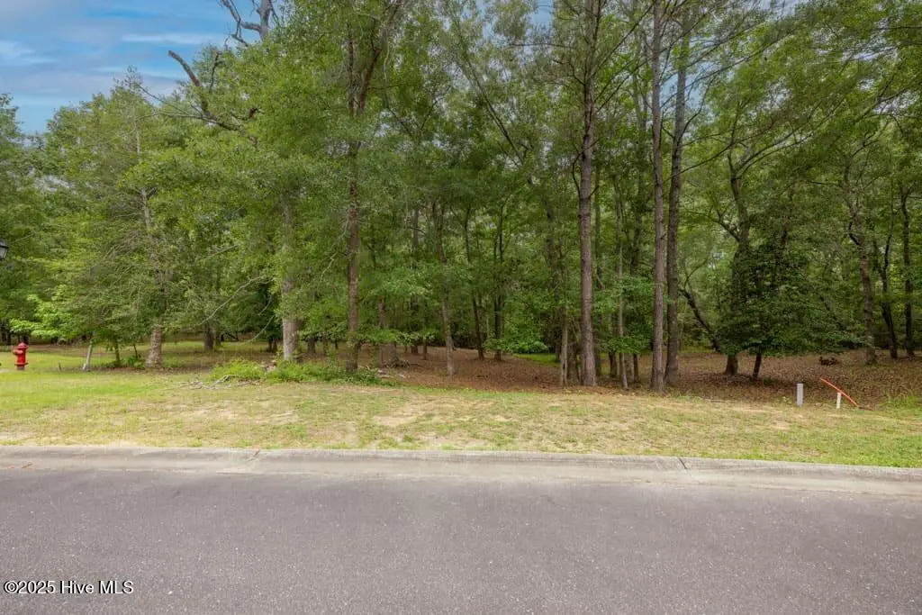 Lot 21 Bay Creek Drive, Shallotte, NC 28470 - #1