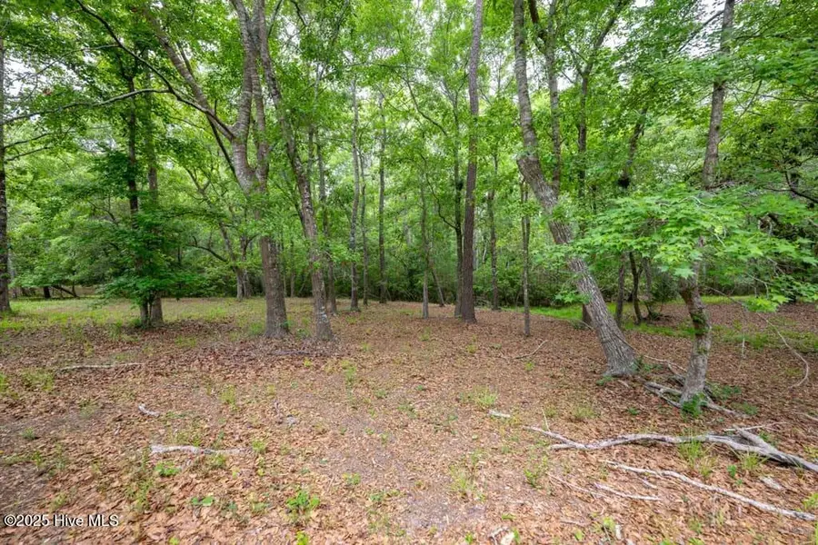 Lot 21 Bay Creek Drive, Shallotte, NC 28470 - #2