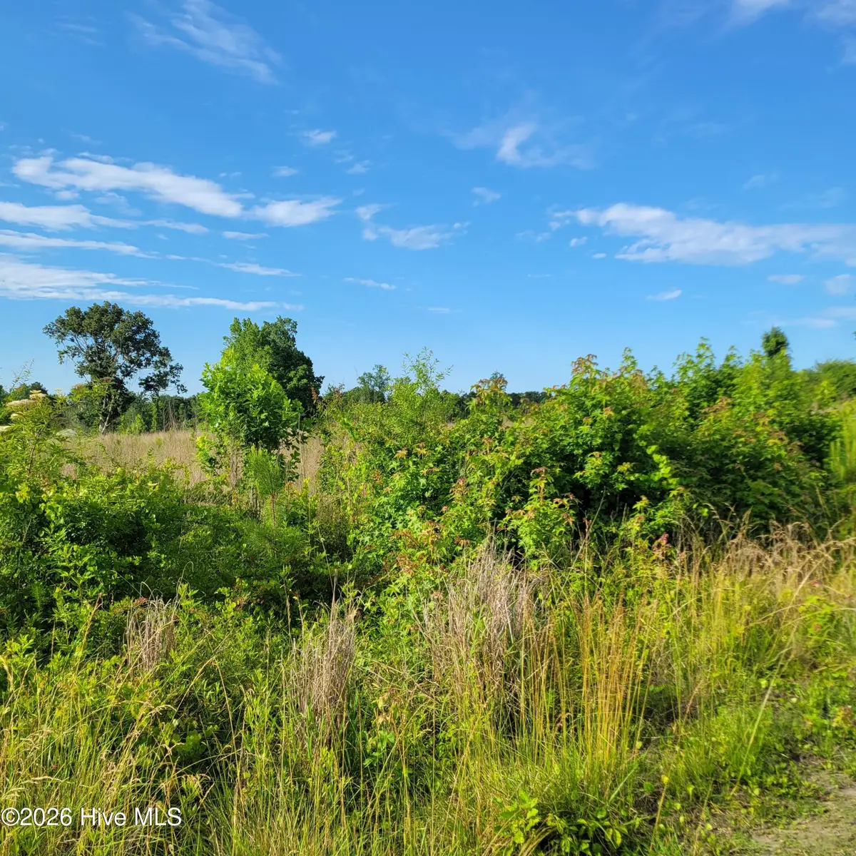 3215492710 Little Kelly Road, Rocky Point, NC 28457 - #1
