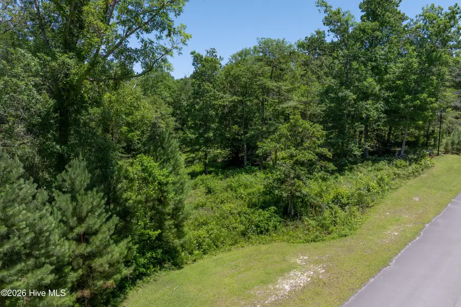 Lot 10 Tree Hill Lane, Hubert, NC 28539 - #3
