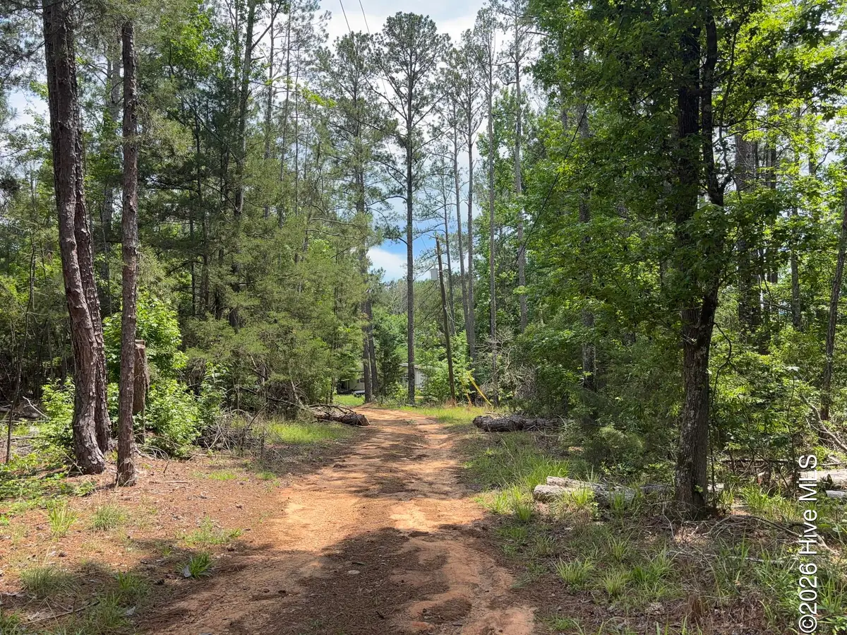 3763 Adelia Drive, Appling, GA 30802 - #1